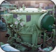 Coir Fiber
