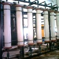 Coir Fiber