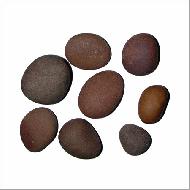 Coir Fiber