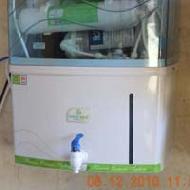 Coir Fiber