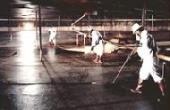 Coir Fiber