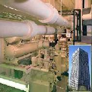 Coir Fiber