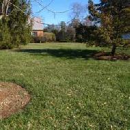 Coir Fiber