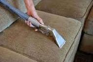 Coir Fiber