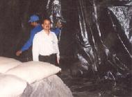 Coir Fiber