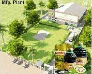 Coir Fiber