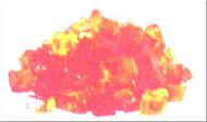 Coir Fiber
