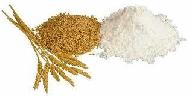 Coir Fiber