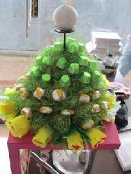 Coir Fiber