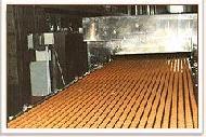 Coir Fiber