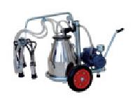 Coir Fiber