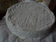 Coir Fiber