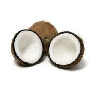 Coir Fiber