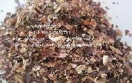 Coir Fiber