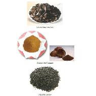 Coir Fiber