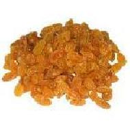 Coir Fiber