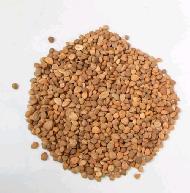 Coir Fiber