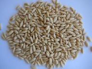 Coir Fiber