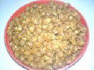 Coir Fiber