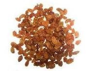 Coir Fiber