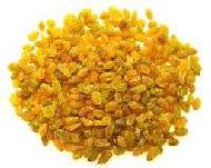 Coir Fiber