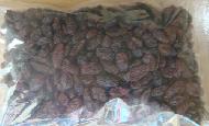 Coir Fiber