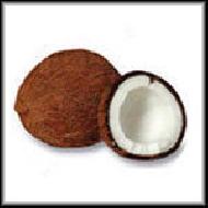 Coir Fiber