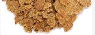 Coir Fiber