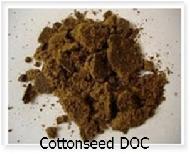 Coir Fiber