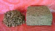 Coir Fiber