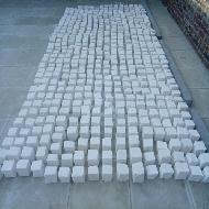 Coir Fiber