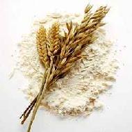 Coir Fiber