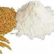 Coir Fiber
