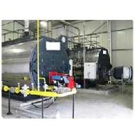 Coir Fiber
