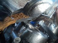 Coir Fiber