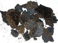 Coir Fiber