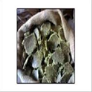 Coir Fiber