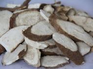 Coir Fiber