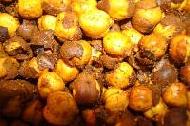 Coir Fiber