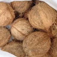Coir Fiber