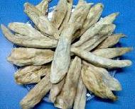 Coir Fiber