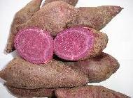 Coir Fiber