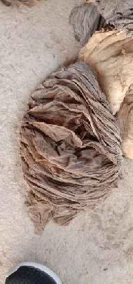 Coir Fiber