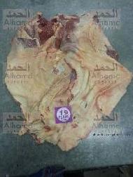 Coir Fiber