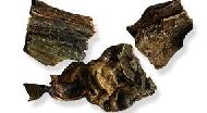 Coir Fiber
