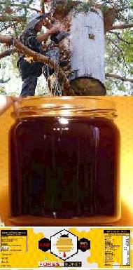 Coir Fiber