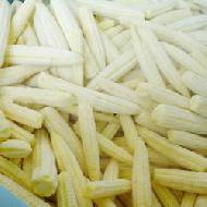 Coir Fiber