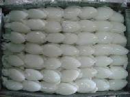 Coir Fiber