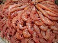 Coir Fiber