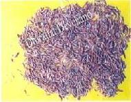 Coir Fiber
